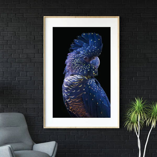 Dans un salon au style noir et industriel, une toile est affichée. C'est une toile avec un fond noir, représentant un perroquet bleu. 