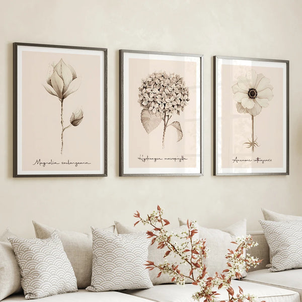 Trois affiches sont accrochées au mur au dessus d'un canapé. Le style de la décoration est épuré. Les tableaux sont des dessins vintage botanique de fleurs. 